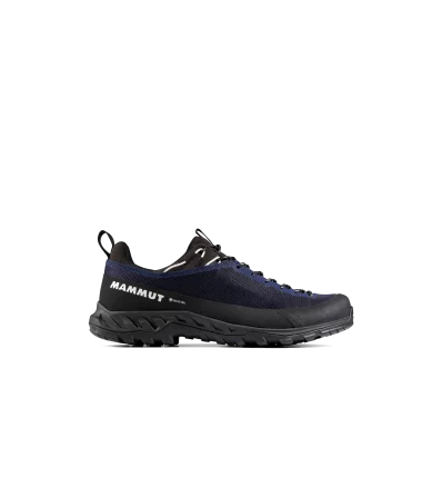 Mammut Alnasca IV Low GTX Men
