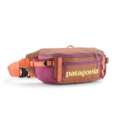 Patagonia Black Hole Waist Pack 5L