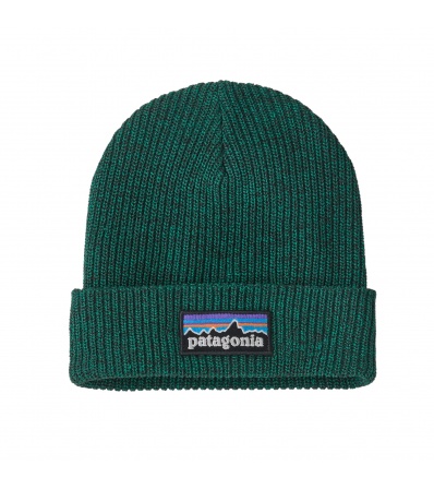 Patagonia Kid's Logo Beanie