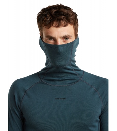 Icebreaker 300 MerinoFine Polar Long Sleeve Roll Neck M's