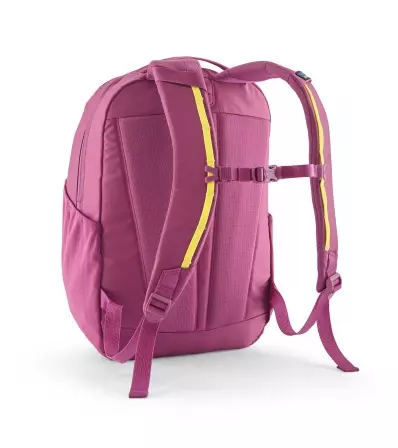 Patagonia Atom Day Pack 24L