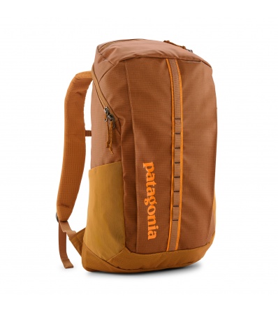 Patagonia Black Hole Pack 25L