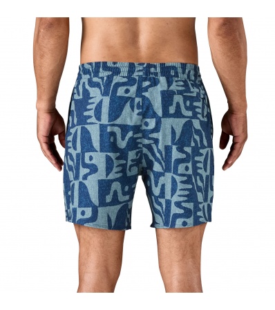 Patagonia Hydropeak Volley Shorts 16