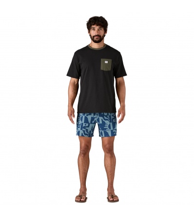 Patagonia Hydropeak Volley Shorts 16