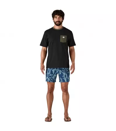 Patagonia Hydropeak Volley Shorts 16