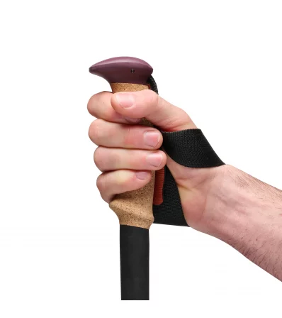 Black Diamond Trail Cork Trekking Poles