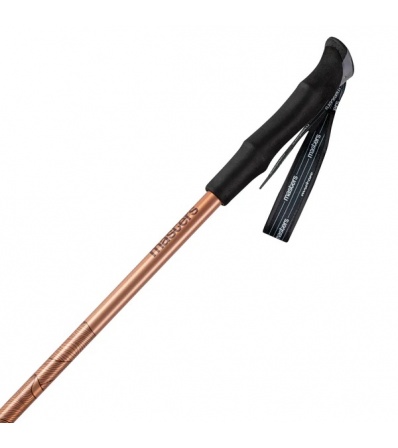Trekking poles MASTERS Hiker Antishock CSS