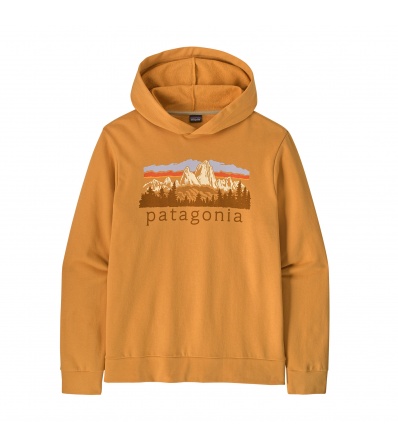 Patagonia Fitz Roy Foothills Daily Hoody M's
