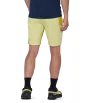 Mammut Ducan Shorts Men