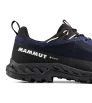 Mammut Alnasca IV Low GTX Men