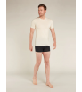 Icebreaker Merino Blend 125 Cool-Lite Anatomica Boxers