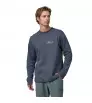 Patagonia Lightweight Unity Fitz Wildrise Crew M's