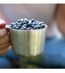 Primus Kasa Mug Stainless Steel