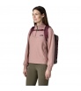 Patagonia Black Hole Micro MLC 22L