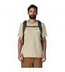 Patagonia Refugio Daypack 32L