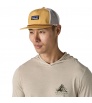 Patagonia Airfarer Cap