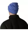 Patagonia Everyday Beanie