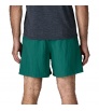 Patagonia Baggies 5