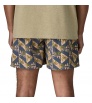 Patagonia Baggies 5